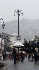 Best 4 Days Shimla Friends Holiday Package