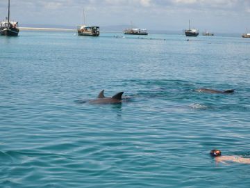 Family Getaway 4 Days 3 Nights Mombasa with Tsavo Trip Package