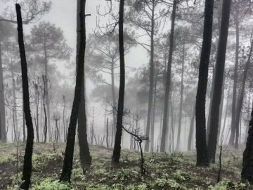 Magical 3 Days 2 Nights Jakhu Temple Vacation Package