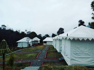 Joyful Toy train  Ride Pathankot- Dalhousie - Palampur