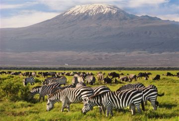 Beautiful Maasai Mara Nature Tour Package for 3 Days 2 Nights