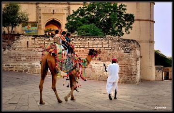 Amazing 14 Days Chittaurgarh01 Night Tour Package