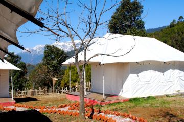 Memorable 4 Days 3 Nights Bir Forest Trip Package