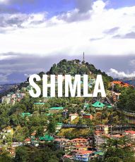 Experience Shimla Family Tour Package from Chandigarh
