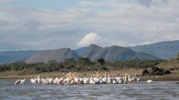 Experience 3 Days 2 Nights Elementaita Park Tour Package