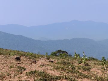 Best 7 Days Mysore, Ooty, Coorg and Bangalore Tour Package