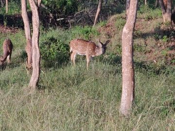 Best 7 Days Mysore, Ooty, Coorg and Bangalore Tour Package