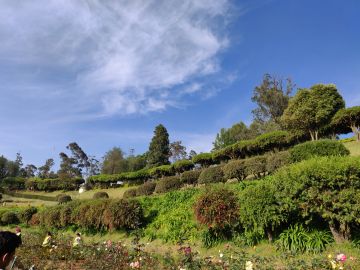 Best 7 Days Mysore, Ooty, Coorg and Bangalore Tour Package