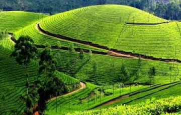 Magical 5 Days Thekkady Honeymoon Holiday Package