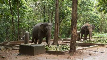 Memorable 2 Days 1 Night Cochin and Malayattoor Holiday Package