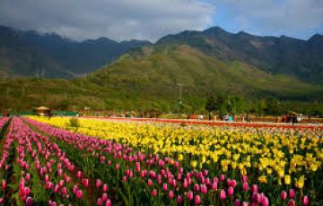 Experience 6 Days Srinagar to Pahalgam Offbeat Vacation Package