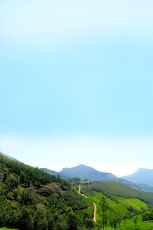 Magnificant Munnar 2019