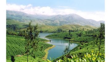 Magnificant Munnar 2019