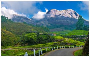 Magnificant Munnar 2019
