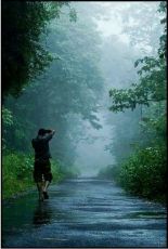 4 Days Kochi Hill Stations Holiday Package