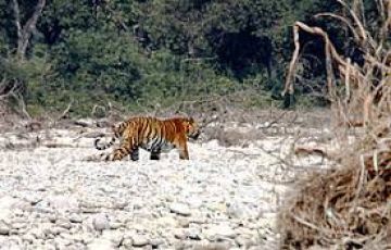 7 Days 6 Nights Delhi to Bhimtal Offbeat Tour Package