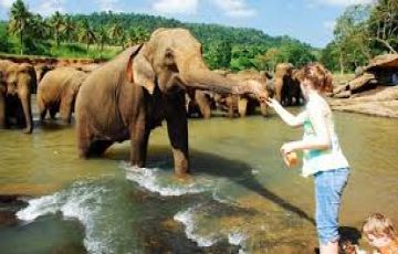 Memorable 4 Days 3 Nights Colombo Kandy Holiday Package
