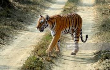 5 Days Nainital, Ramnagar, Mallital and Uttarakhand Culture Tour Package