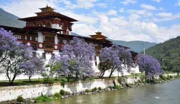 Memorable 8 Days 7 Nights Punakha Tour Package