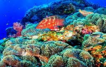 6 Days Pattaya City and Bangkok Drive Trip Package