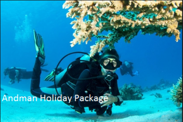 Family Getaway 4 Days 3 Nights South Goa Beach Trip Package