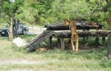 6 Days 5 Nights Krabi Culture and Heritage Holiday Package