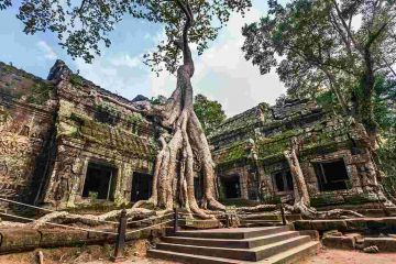 Beautiful 5 Days Phnom Penh and Siem Reap Family Vacation Package