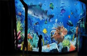 Experience 5 Days Chennai to Krabi Beach Holiday Package