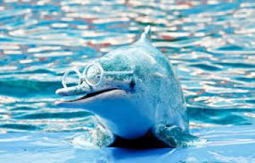 6 Days Phuket with Bangkok Waterfall Trip Package