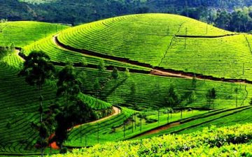 Magical 5 Days 4 Nights Siliguri Hill Stations Vacation Package