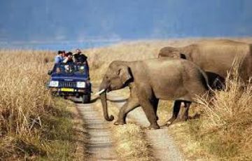 Beautiful 7 Days Delhi to Nainital - Jim Corbett - Mussoorie Honeymoon Tour Package