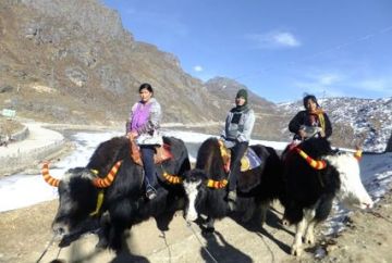 Beautiful 8 Days 7 Nights Gangtok Offbeat Trip Package