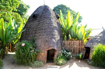 Memorable 7 Days Addis Ababa, Arba Minch, Konso and Jinka Holiday Package