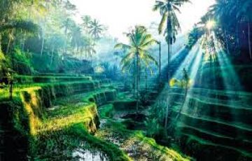 Best Bali Water Activities Tour Package for 7 Days 6 Nights from New Delhi