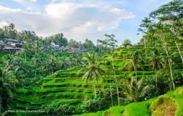 Best Bali Nature Tour Package for 6 Days from Delhi
