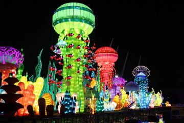 6 Days 5 Nights Dubai, Abu Dhabi, United Arab Emira with UAE Weekend Getaways Trip Package