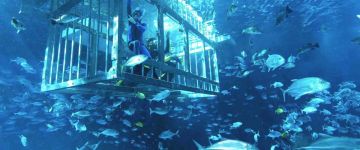 6 Days 5 Nights Dubai, Abu Dhabi, United Arab Emira with UAE Weekend Getaways Trip Package