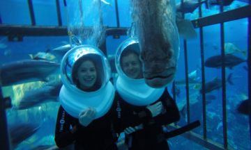 6 Days 5 Nights Dubai, Abu Dhabi, United Arab Emira with UAE Weekend Getaways Trip Package