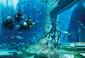 6 Days 5 Nights Dubai, Abu Dhabi, United Arab Emira with UAE Weekend Getaways Trip Package