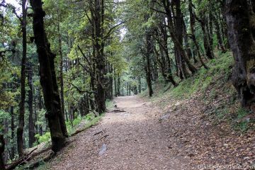 Best 5 Days Lambri Beach Trip Package