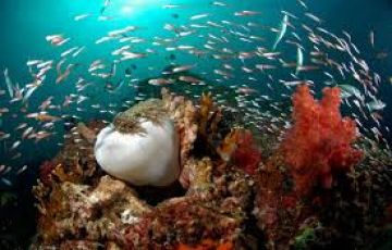 Pleasurable 4 Days Krabi Romantic Holiday Package