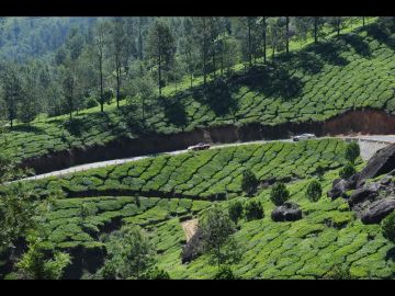 3 Days 2 Nights Ooty Botanical Garden Friends Vacation Package