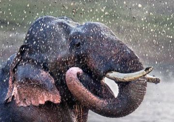 Experience 2 Days 1 Night Delhi Holiday Package