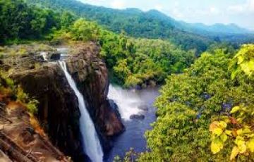 7 Days Munnar, Thekkady, Alleppey and Kovalam Beach Holiday Package