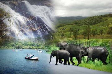Magical 3 Days Wayanad Friends Vacation Package