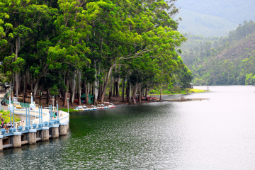 Best 3 Days 2 Nights Munnar Romantic Trip Package