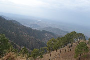 Best 2 Days Kufri Honeymoon Tour Package