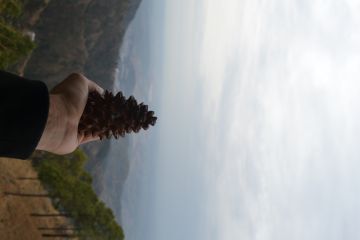 Best 2 Days Kufri Honeymoon Tour Package