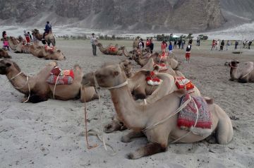 7 Days 6 Nights Nubra Valley Mosque Holiday Package