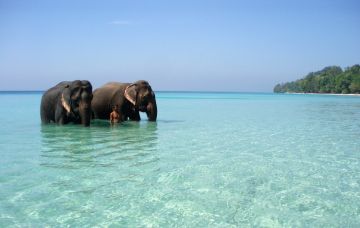 Experience 6 Days 5 Nights Port Blair with Havelock Island Honeymoon Tour Package